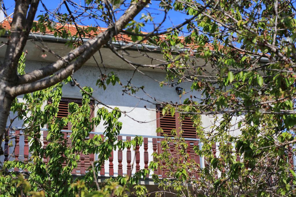 Apartment Ante Bibinje Kültér fotó