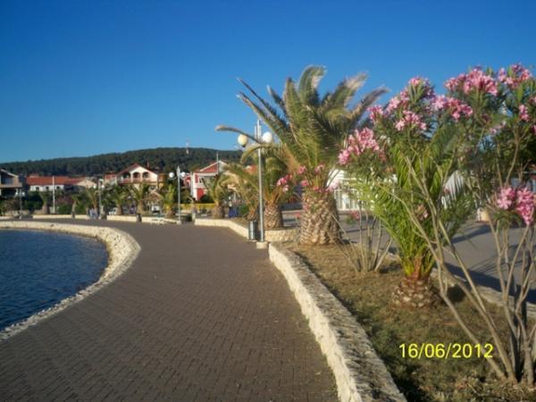 Apartment Ante Bibinje Kültér fotó